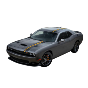 Sponsor – American Muscle